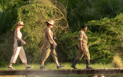 How Much Does an African Safari Package Cost?