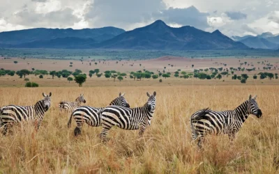 Kidepo Valley National Park